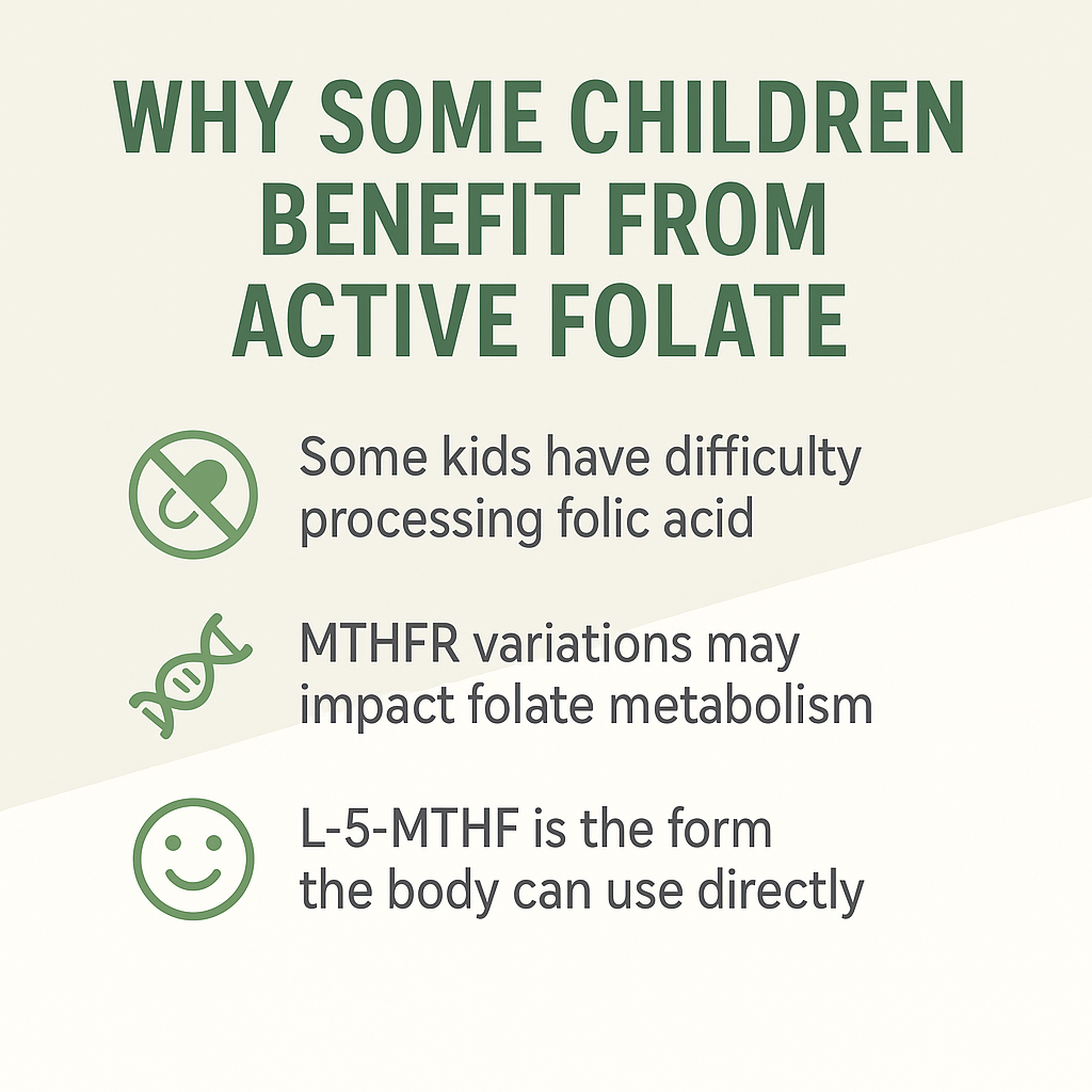 StoneAgez Active Folate L-5-MTHF + B12 Drops 60ml| High-Absorption Methylation & Detox Support for Kids & Adults