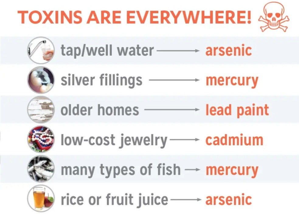 Stoneages Zeolite Spray heavy metal detox awareness graphic showing toxins like arsenic, mercury, lead and cadmium


Supplement facts label – clinoptilolite zeolite
